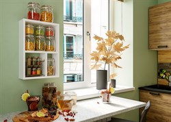 Полка навесная "Ион 6" (БТС) 2589