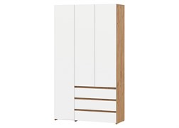 Шкаф комбинированный трехстворчатый 